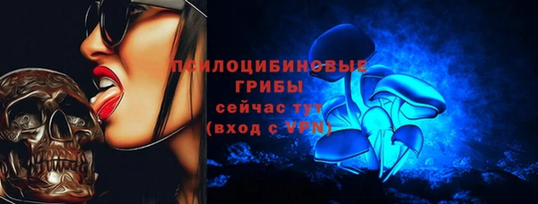 ПСИЛОЦИБИНОВЫЕ ГРИБЫ Михайловск