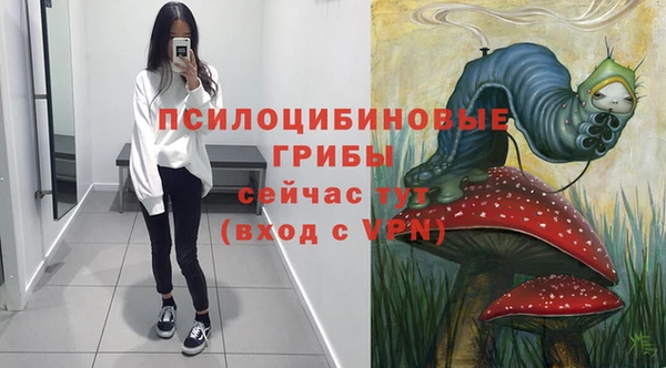 ПСИЛОЦИБИНОВЫЕ ГРИБЫ Михайловск